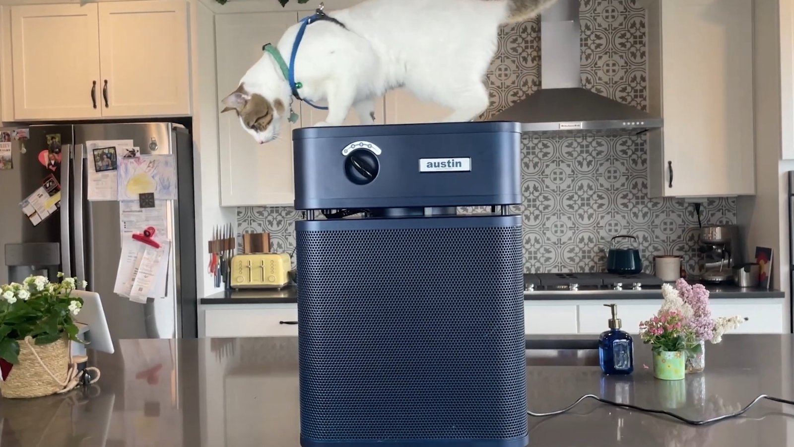 Austin Air HealthMate