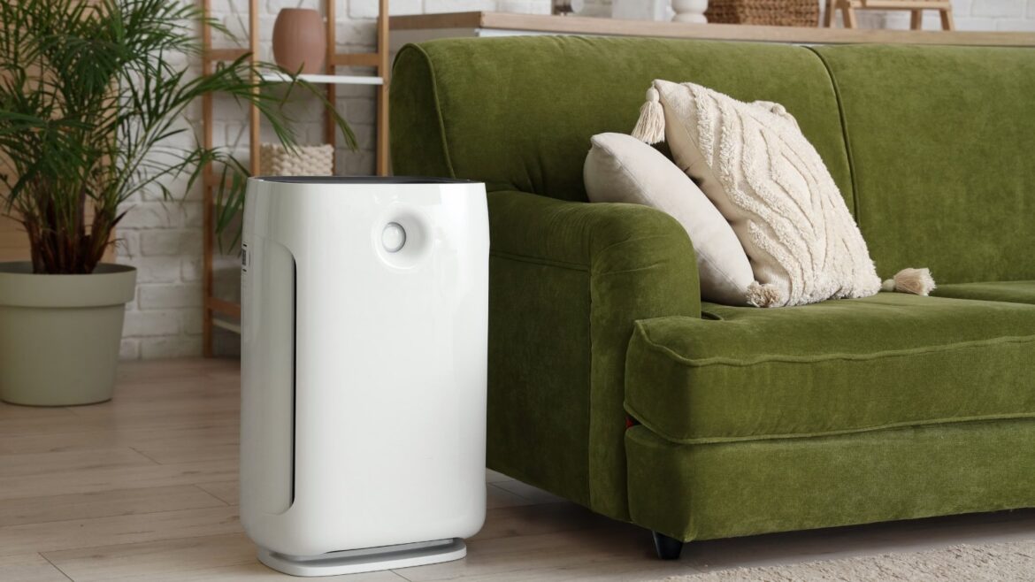 best air purifier for pets