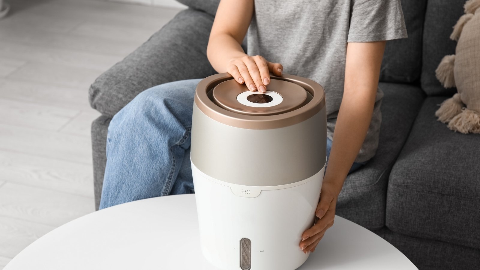 air purifier vs humidifier